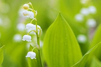 庆祝嘻哈50周年 麻辣鸡将加入《使命召唤：现代战争2》及《战区》